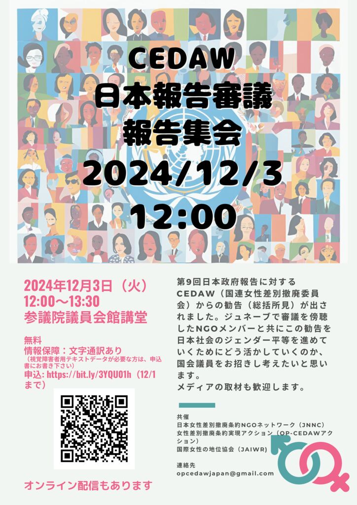 12/3 CEDAW⽇本報告審議 報告集会 | 白井なおこ